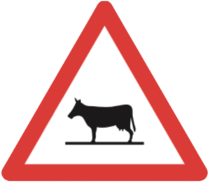 tiere