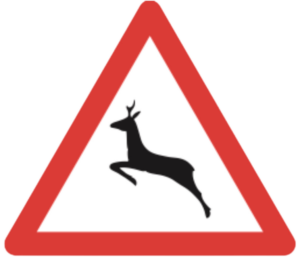 wildwechsel